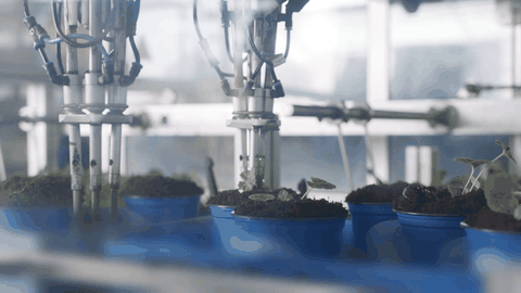 AgriTech