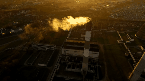 Climate Action
