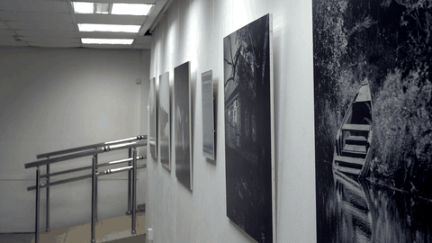Exhibitions